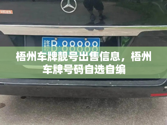 梧州车牌靓号出售信息,梧州车牌号码自选自编-第2张图片-七号汽车选号 梧州车牌靓号出售信息,梧州车牌号码自选自编-第2张图片-七号汽车选号