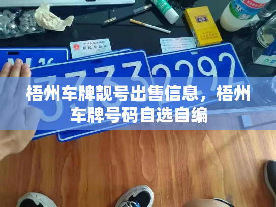 梧州车牌靓号出售信息,梧州车牌号码自选自编-第3张图片-七号汽车选号 梧州车牌靓号出售信息,梧州车牌号码自选自编-第3张图片-七号汽车选号