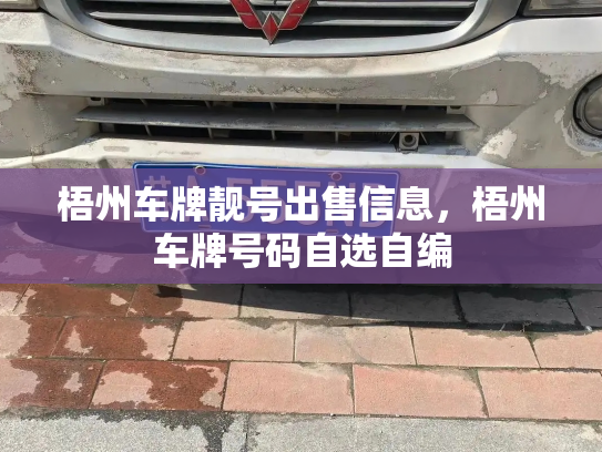 梧州车牌靓号出售信息，梧州车牌号码自选自编