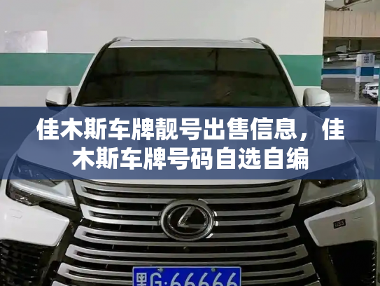 佳木斯车牌靓号出售信息,佳木斯车牌号码自选自编-第2张图片-七号汽车选号 佳木斯车牌靓号出售信息,佳木斯车牌号码自选自编-第2张图片-七号汽车选号