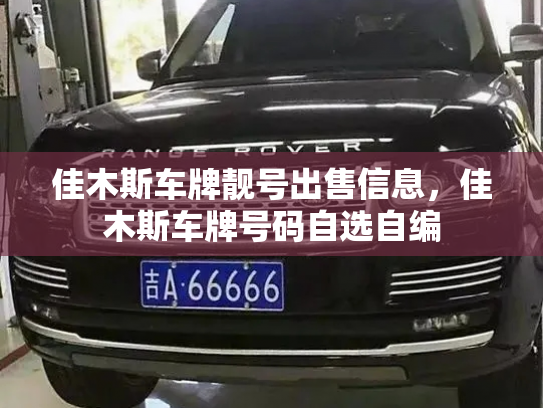佳木斯车牌靓号出售信息,佳木斯车牌号码自选自编-第3张图片-七号汽车选号 佳木斯车牌靓号出售信息,佳木斯车牌号码自选自编-第3张图片-七号汽车选号