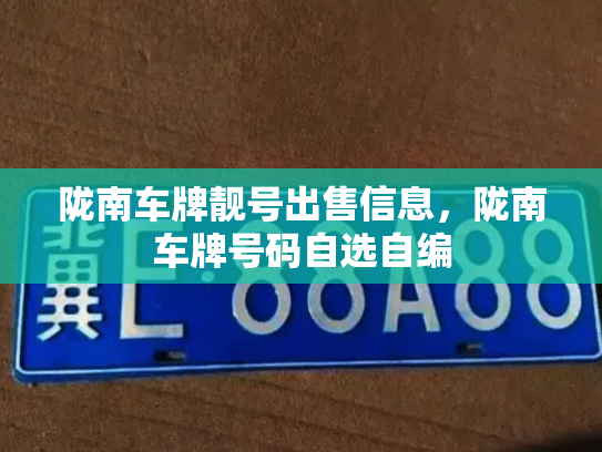 陇南车牌靓号出售信息，陇南车牌号码自选自编