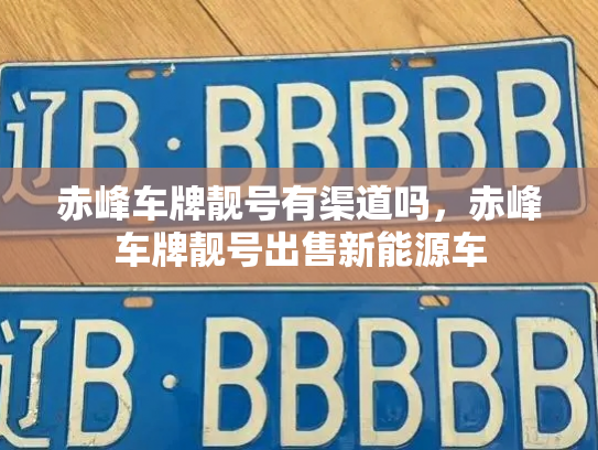 赤峰车牌靓号有渠道吗,赤峰车牌靓号出售新能源车-第3张图片-七号汽车选号 赤峰车牌靓号有渠道吗,赤峰车牌靓号出售新能源车-第3张图片-七号汽车选号