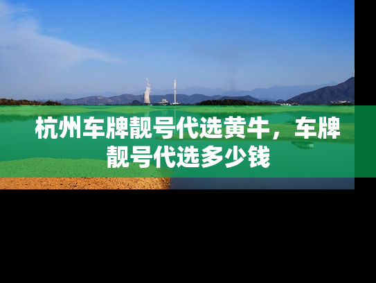 杭州车牌靓号代选黄牛，车牌靓号代选多少钱