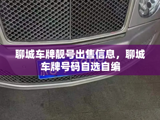 聊城车牌靓号出售信息,聊城车牌号码自选自编-第2张图片-七号汽车选号 聊城车牌靓号出售信息,聊城车牌号码自选自编-第2张图片-七号汽车选号