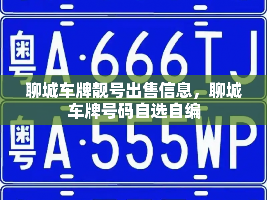 聊城车牌靓号出售信息，聊城车牌号码自选自编