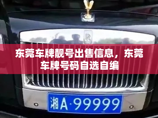 东莞车牌靓号出售信息,东莞车牌号码自选自编-第3张图片-七号汽车选号 东莞车牌靓号出售信息,东莞车牌号码自选自编-第3张图片-七号汽车选号
