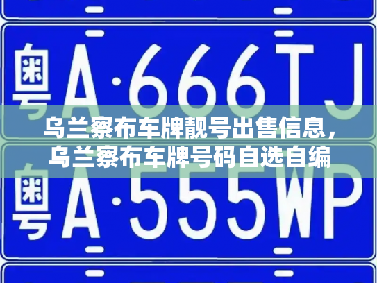 乌兰察布车牌靓号出售信息,乌兰察布车牌号码自选自编-第2张图片-七号汽车选号 乌兰察布车牌靓号出售信息,乌兰察布车牌号码自选自编-第2张图片-七号汽车选号