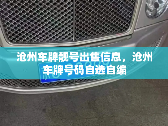 沧州车牌靓号出售信息，沧州车牌号码自选自编