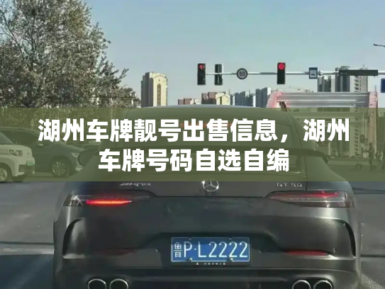 湖州车牌靓号出售信息,湖州车牌号码自选自编-第2张图片-七号汽车选号 湖州车牌靓号出售信息,湖州车牌号码自选自编-第2张图片-七号汽车选号