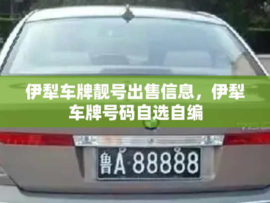 伊犁车牌靓号出售信息,伊犁车牌号码自选自编-第2张图片-七号汽车选号 伊犁车牌靓号出售信息,伊犁车牌号码自选自编-第2张图片-七号汽车选号