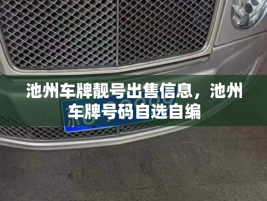 池州车牌靓号出售信息，池州车牌号码自选自编-第2张图片-七号汽车选号