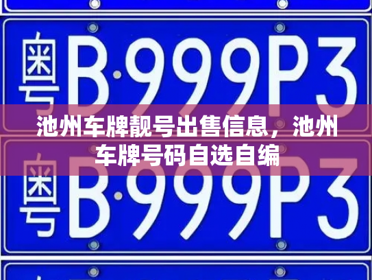 池州车牌靓号出售信息，池州车牌号码自选自编-第3张图片-七号汽车选号