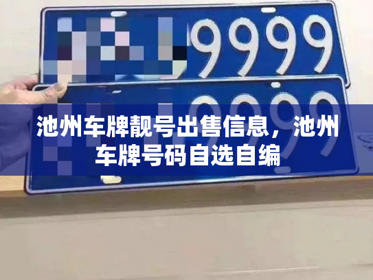 池州车牌靓号出售信息，池州车牌号码自选自编