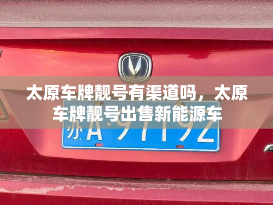 太原车牌靓号有渠道吗,太原车牌靓号出售新能源车-第3张图片-七号汽车选号 太原车牌靓号有渠道吗,太原车牌靓号出售新能源车-第3张图片-七号汽车选号