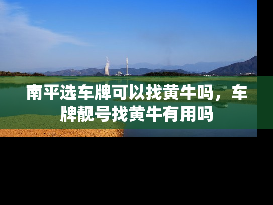 南平选车牌可以找黄牛吗，车牌靓号找黄牛有用吗