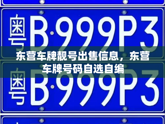 东营车牌靓号出售信息,东营车牌号码自选自编-第2张图片-七号汽车选号 东营车牌靓号出售信息,东营车牌号码自选自编-第2张图片-七号汽车选号