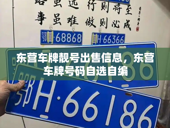 东营车牌靓号出售信息,东营车牌号码自选自编-第3张图片-七号汽车选号 东营车牌靓号出售信息,东营车牌号码自选自编-第3张图片-七号汽车选号