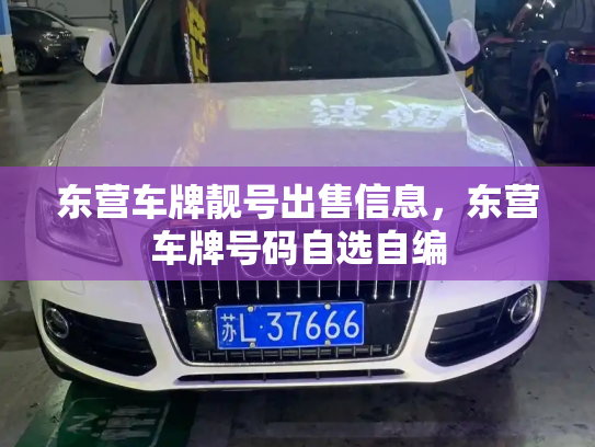 东营车牌靓号出售信息，东营车牌号码自选自编