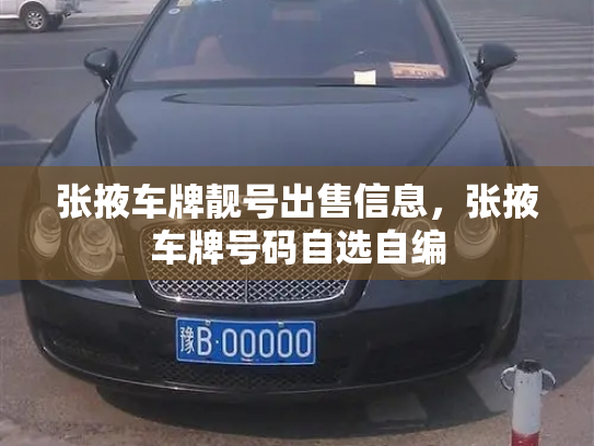 张掖车牌靓号出售信息，张掖车牌号码自选自编-第2张图片-七号汽车选号