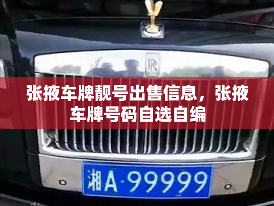 张掖车牌靓号出售信息，张掖车牌号码自选自编-第3张图片-七号汽车选号