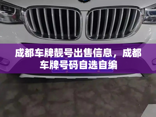 成都车牌靓号出售信息,成都车牌号码自选自编-第2张图片-七号汽车选号 成都车牌靓号出售信息,成都车牌号码自选自编-第2张图片-七号汽车选号