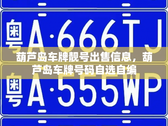 葫芦岛车牌靓号出售信息,葫芦岛车牌号码自选自编-第3张图片-七号汽车选号 葫芦岛车牌靓号出售信息,葫芦岛车牌号码自选自编-第3张图片-七号汽车选号