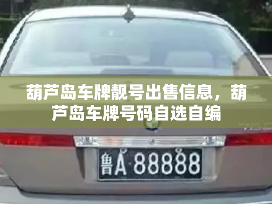 葫芦岛车牌靓号出售信息，葫芦岛车牌号码自选自编