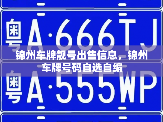 锦州车牌靓号出售信息,锦州车牌号码自选自编-第2张图片-七号汽车选号 锦州车牌靓号出售信息,锦州车牌号码自选自编-第2张图片-七号汽车选号