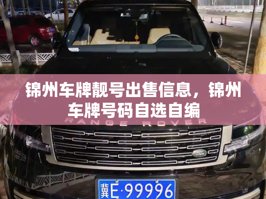 锦州车牌靓号出售信息,锦州车牌号码自选自编-第3张图片-七号汽车选号 锦州车牌靓号出售信息,锦州车牌号码自选自编-第3张图片-七号汽车选号