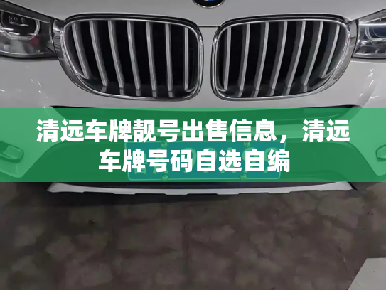 清远车牌靓号出售信息，清远车牌号码自选自编
