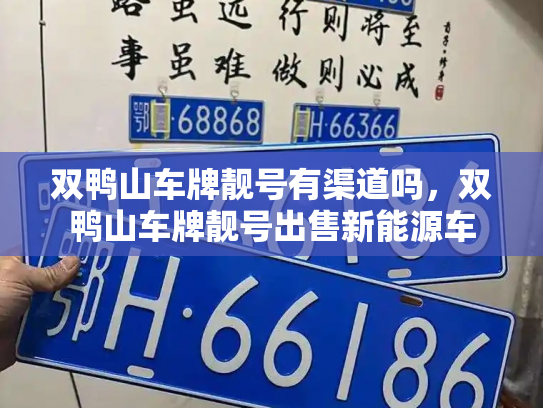 双鸭山车牌靓号有渠道吗,双鸭山车牌靓号出售新能源车-第2张图片-七号汽车选号 双鸭山车牌靓号有渠道吗,双鸭山车牌靓号出售新能源车-第2张图片-七号汽车选号