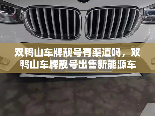 双鸭山车牌靓号有渠道吗,双鸭山车牌靓号出售新能源车-第3张图片-七号汽车选号 双鸭山车牌靓号有渠道吗,双鸭山车牌靓号出售新能源车-第3张图片-七号汽车选号