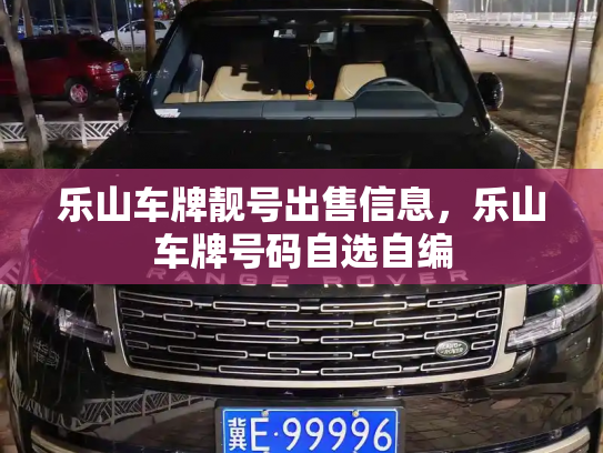 乐山车牌靓号出售信息，乐山车牌号码自选自编