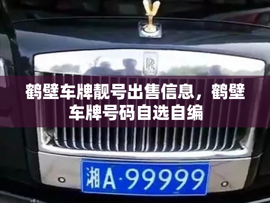 鹤壁车牌靓号出售信息，鹤壁车牌号码自选自编
