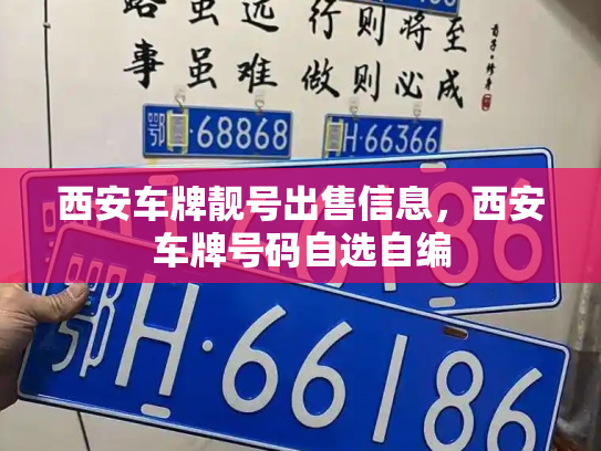 西安车牌靓号出售信息，西安车牌号码自选自编-第3张图片-七号汽车选号