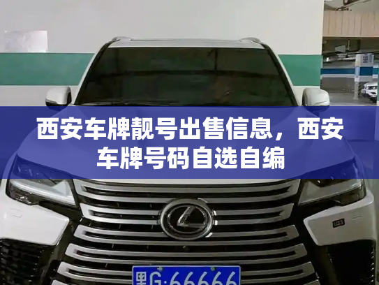 西安车牌靓号出售信息，西安车牌号码自选自编