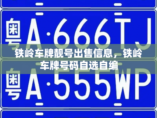 铁岭车牌靓号出售信息，铁岭车牌号码自选自编