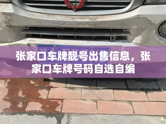 张家口车牌靓号出售信息,张家口车牌号码自选自编-第2张图片-七号汽车选号 张家口车牌靓号出售信息,张家口车牌号码自选自编-第2张图片-七号汽车选号