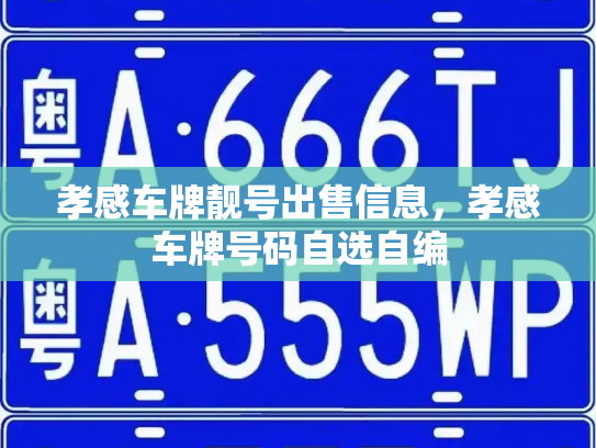 孝感车牌靓号出售信息,孝感车牌号码自选自编-第2张图片-七号汽车选号 孝感车牌靓号出售信息,孝感车牌号码自选自编-第2张图片-七号汽车选号