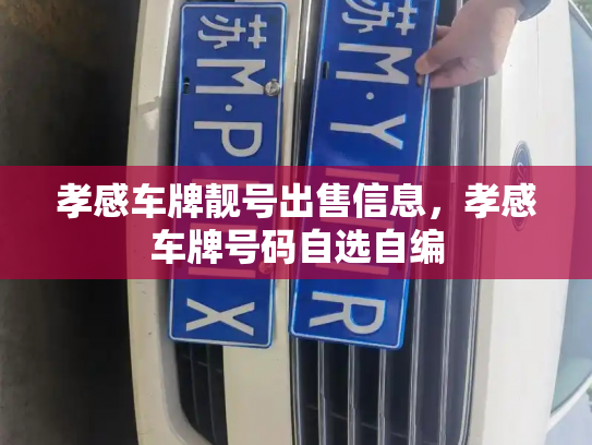 孝感车牌靓号出售信息,孝感车牌号码自选自编-第3张图片-七号汽车选号 孝感车牌靓号出售信息,孝感车牌号码自选自编-第3张图片-七号汽车选号