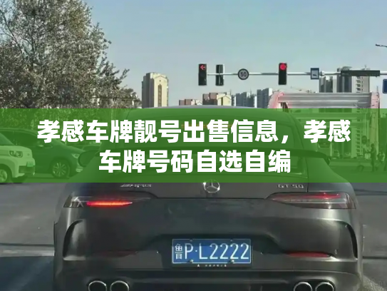 孝感车牌靓号出售信息，孝感车牌号码自选自编