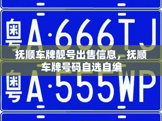 抚顺车牌靓号出售信息，抚顺车牌号码自选自编-第2张图片-七号汽车选号