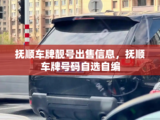 抚顺车牌靓号出售信息，抚顺车牌号码自选自编