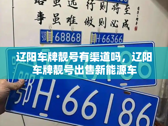 辽阳车牌靓号有渠道吗，辽阳车牌靓号出售新能源车-第2张图片-七号汽车选号