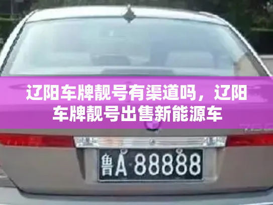 辽阳车牌靓号有渠道吗，辽阳车牌靓号出售新能源车-第3张图片-七号汽车选号