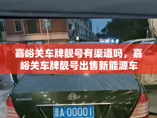 嘉峪关车牌靓号有渠道吗,嘉峪关车牌靓号出售新能源车-第2张图片-七号汽车选号 嘉峪关车牌靓号有渠道吗,嘉峪关车牌靓号出售新能源车-第2张图片-七号汽车选号
