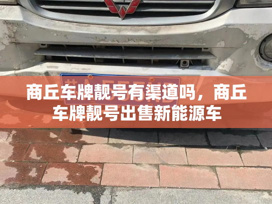 商丘车牌靓号有渠道吗,商丘车牌靓号出售新能源车-第2张图片-七号汽车选号 商丘车牌靓号有渠道吗,商丘车牌靓号出售新能源车-第2张图片-七号汽车选号