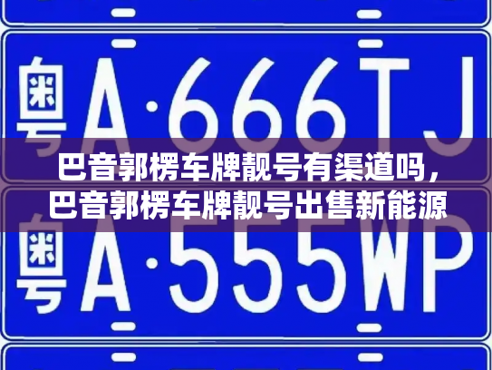 巴音郭楞车牌靓号有渠道吗，巴音郭楞车牌靓号出售新能源车-第2张图片-七号汽车选号