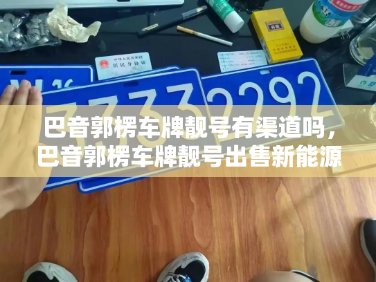 巴音郭楞车牌靓号有渠道吗，巴音郭楞车牌靓号出售新能源车-第3张图片-七号汽车选号